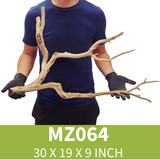 Manzanita Driftwood MZ064