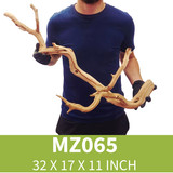 Manzanita Driftwood MZ065