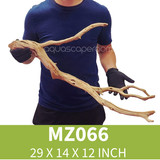 Manzanita Driftwood MZ066