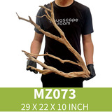 Manzanita Driftwood MZ073