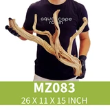 Manzanita Driftwood MZ083