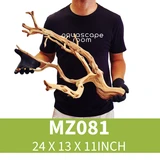 Manzanita Driftwood MZ081
