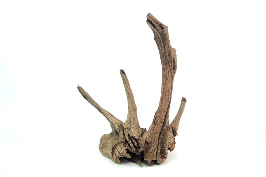Saba Driftwood *SB081M