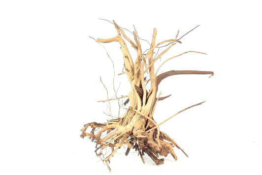 Tigerwood Driftwood