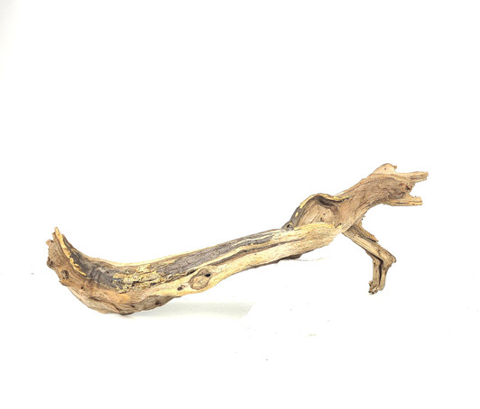 Neka Driftwood