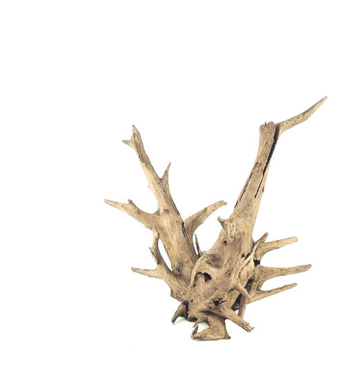 Jangle Driftwood