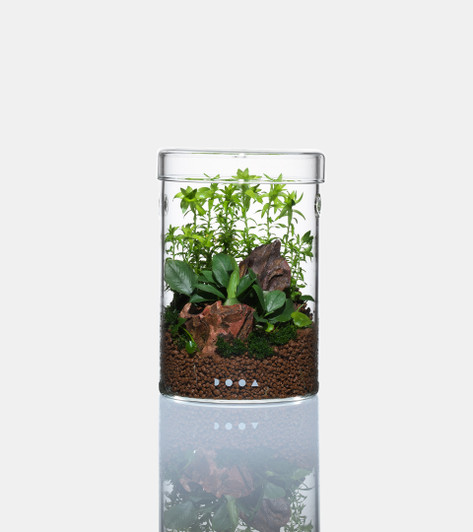 ADA & DOOA Aquascaping Products in Canada | Aquascaperoom Canada
