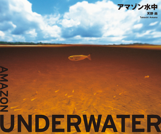 ADA TAKASHI AMANO L Photography (English) | Aquascaperoom Canada