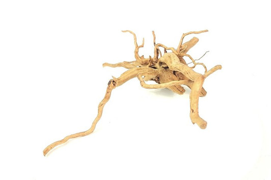 Spiderwood *SP0603