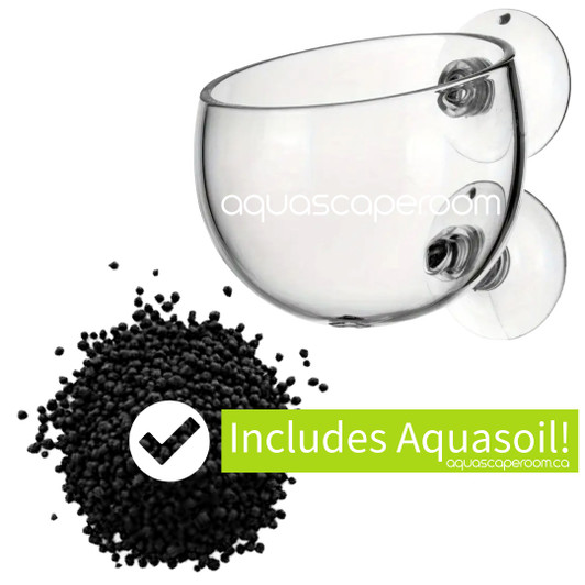 2.5" glass suction cup aquarium planter for aquascaping and aquatic plant propagation