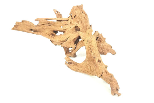 Malaysian Driftwood  *ML2601