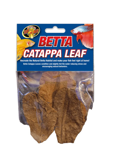 Betta Catappa Leaves (3 Pack)