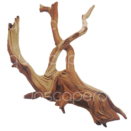 Manzanita Driftwood