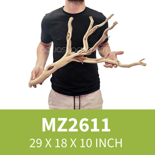 Manzanita Driftwood MZ2611