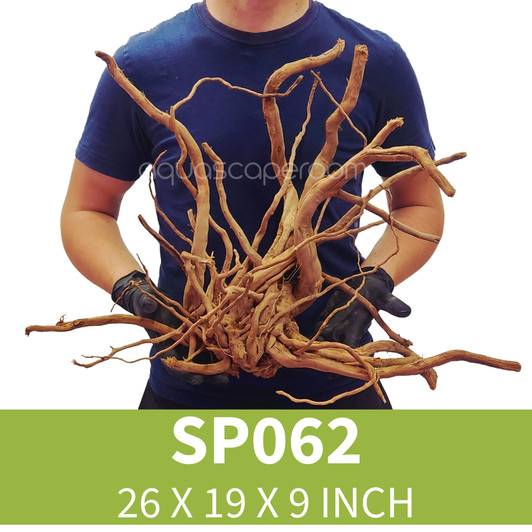 Manzanita Driftwood MZ061