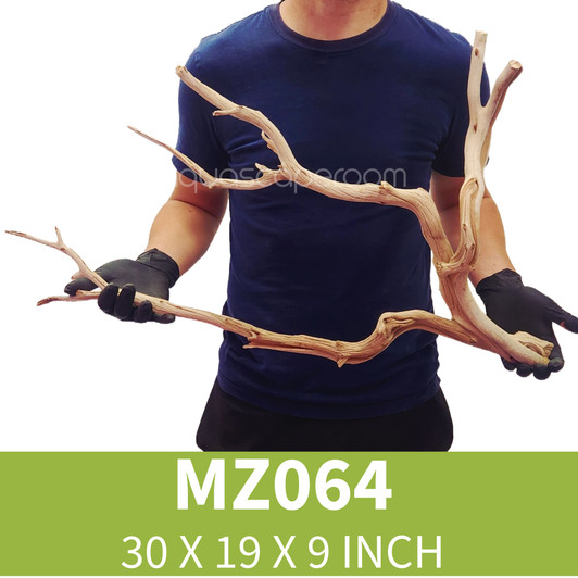 Manzanita Driftwood MZ064