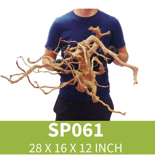 Spider Driftwood SP061