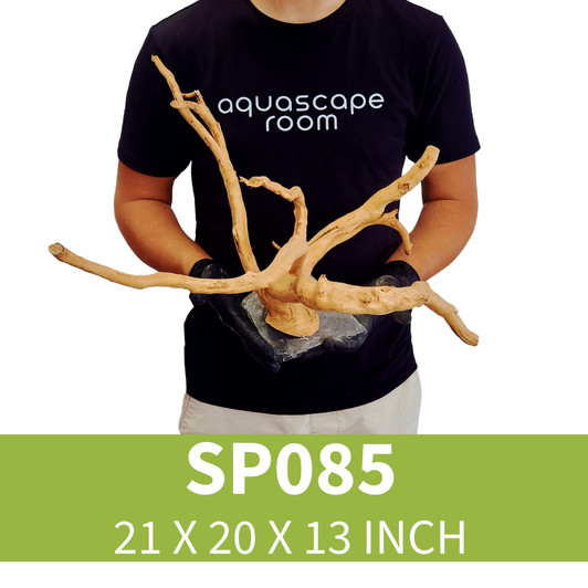 Spider Driftwood  On Slate SP085