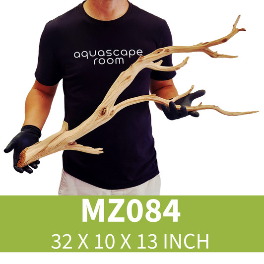 Manzanita Driftwood MZ084