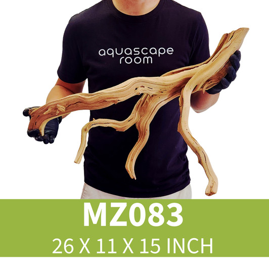 Manzanita Driftwood MZ083