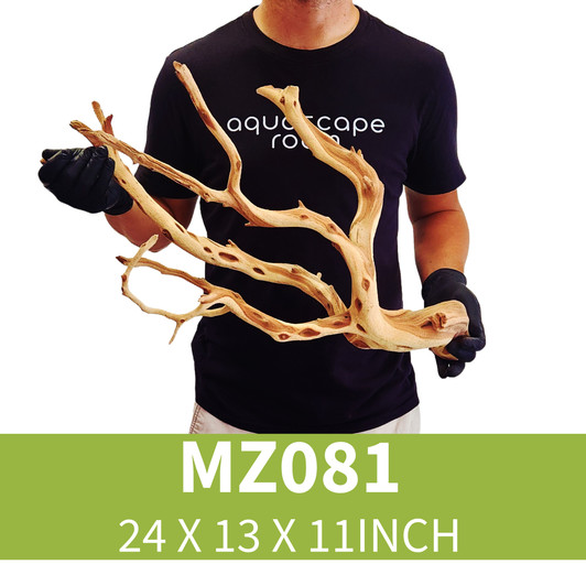 Manzanita Driftwood MZ081