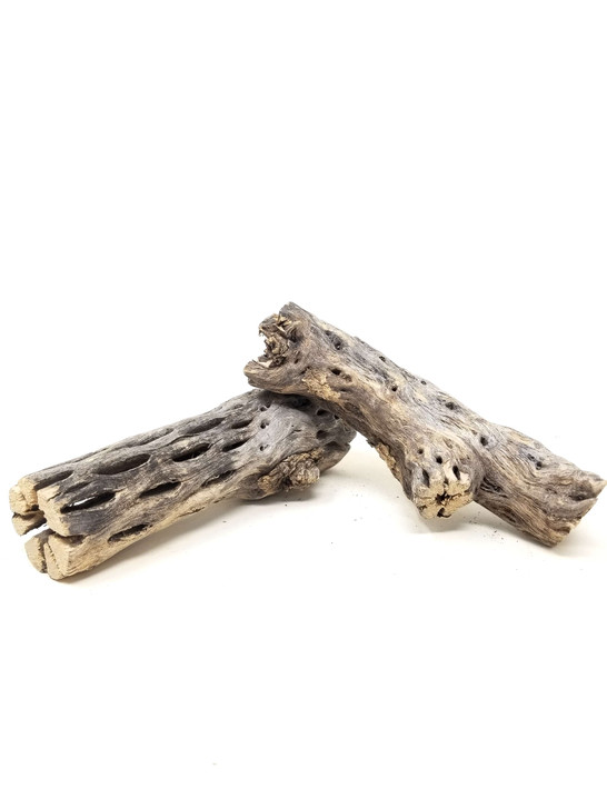 7" Cholla Wood Finger Bundle