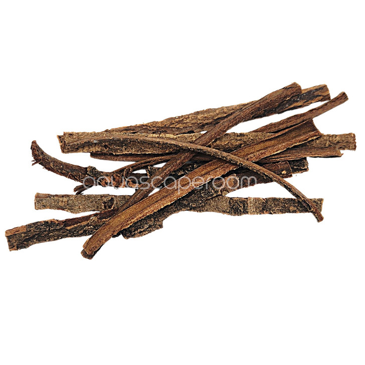 Catappa Bark 10-Pack