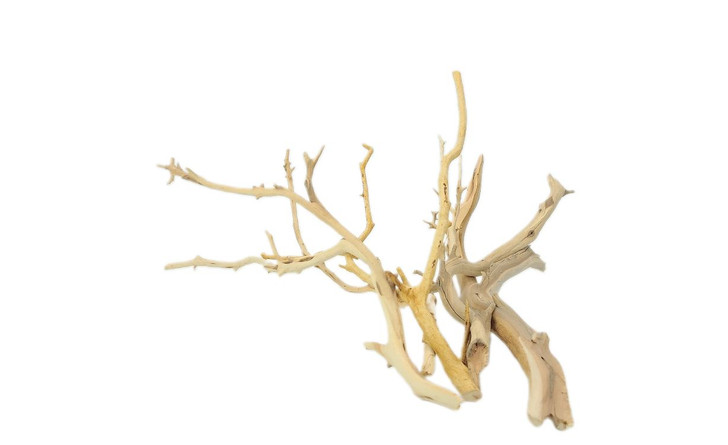 Manzanita Bundle *MNZBN
