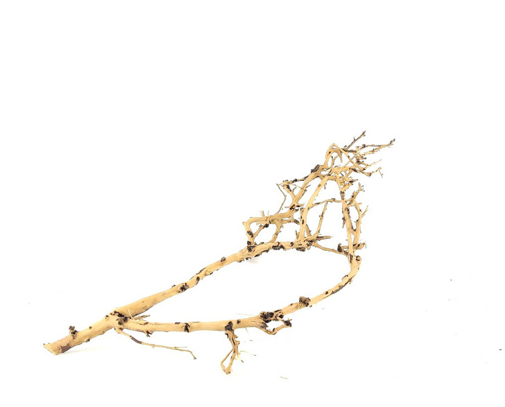 Birdnest Driftwood *BN0304S