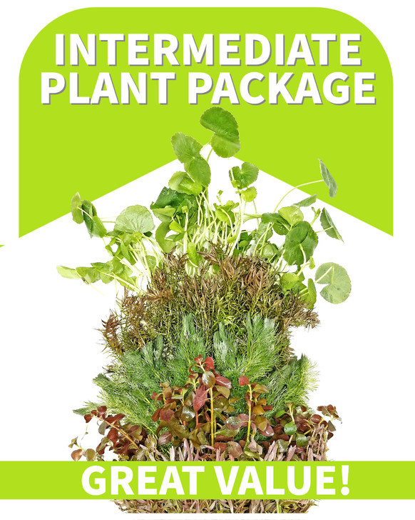 Advanced Plant Package '$100 Value'