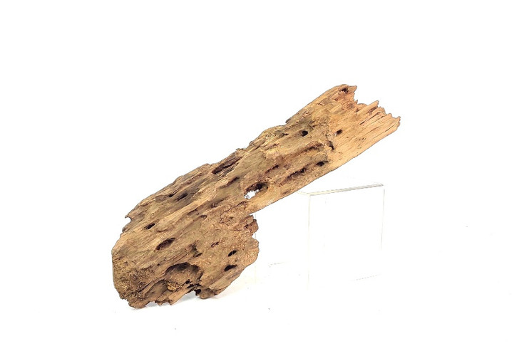 Shrimpwood *SH0201L