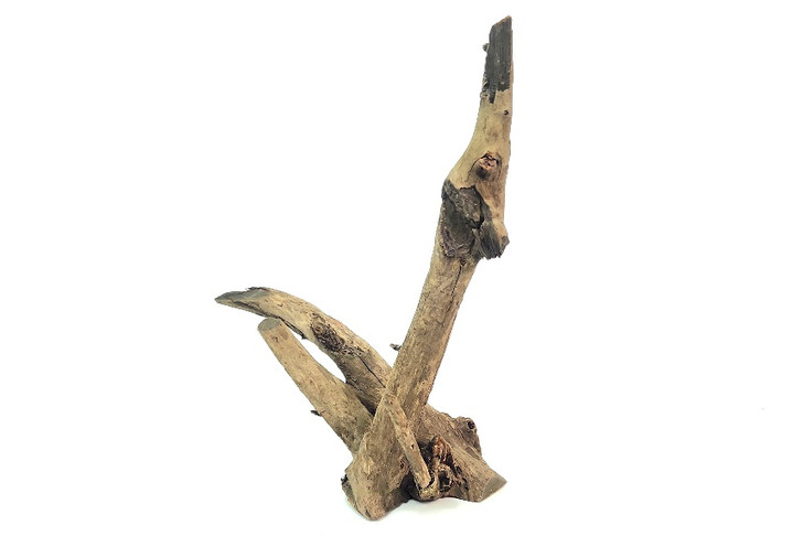 Saba Driftwood *SB082M