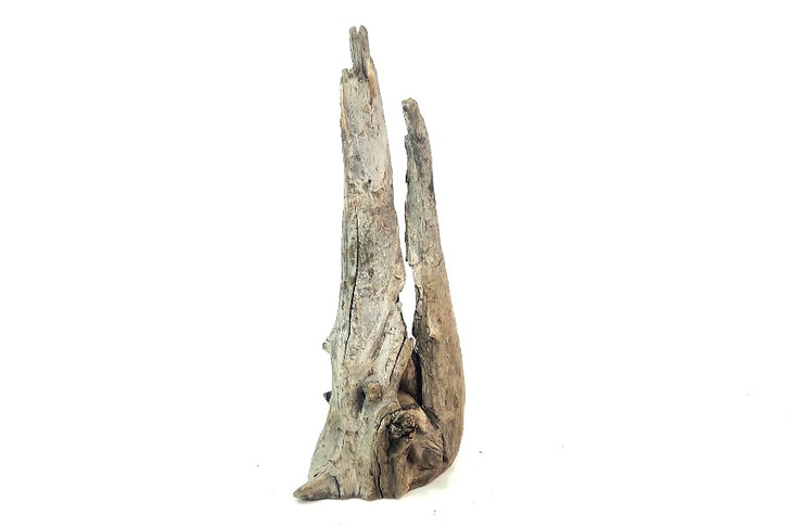 Saba Driftwood *SB084M