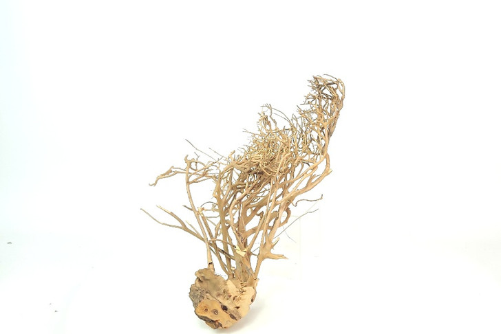 Caspian Driftwood *CP081M