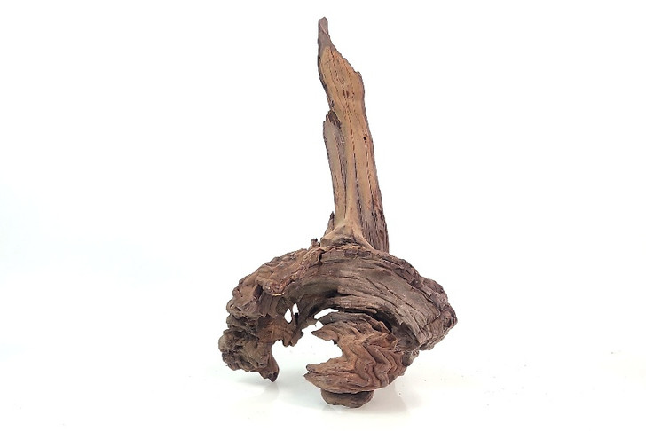 Congo Driftwood *CN082M