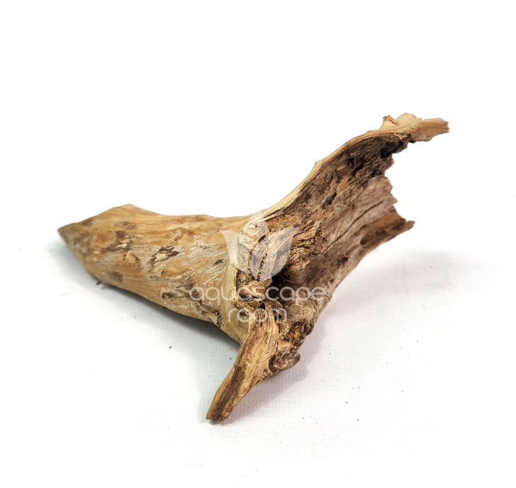 Congo Driftwood