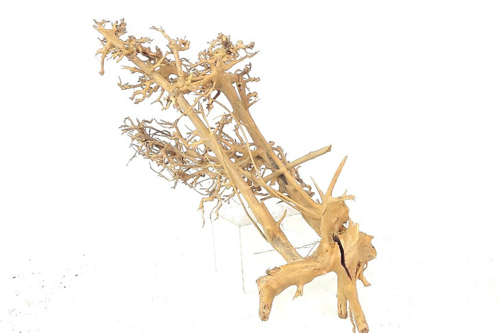 Caspian Driftwood *CP094M