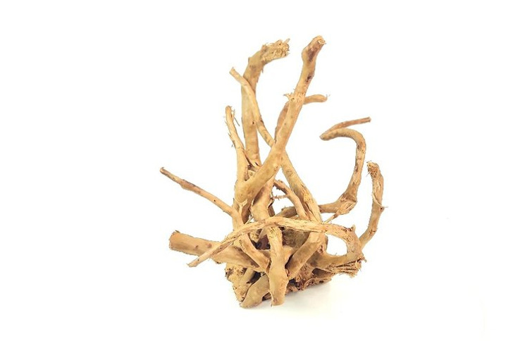 Spiderwood *SP0601