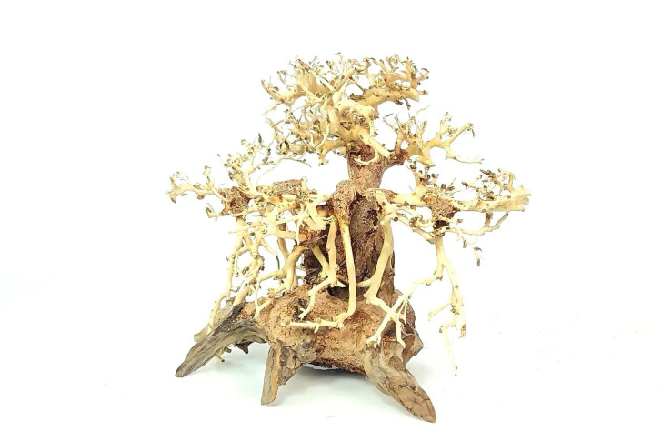 Octopus Bonsai Driftwood