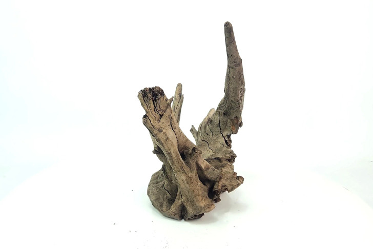Saba Driftwood