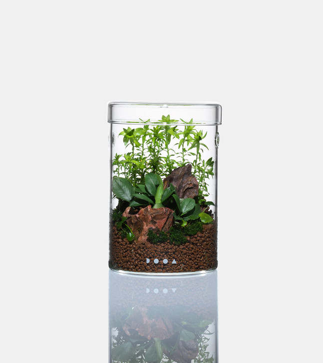 DOOA Glass Pot MARU | Aquascaperoom Canada