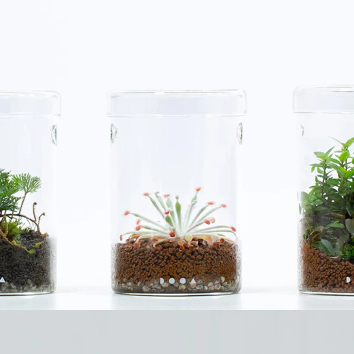 DOOA Glass Pot Maru
