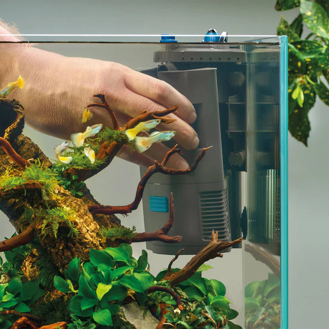 OASE BioPlus Thermo 50 – Internal Aquarium Filter with Built-In Heater