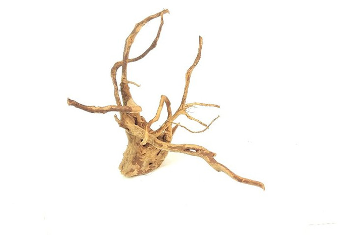 Spiderwood *SP0602