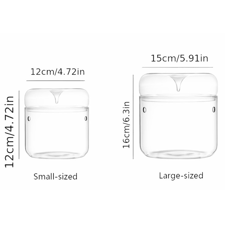 Mini Glass Terrarium