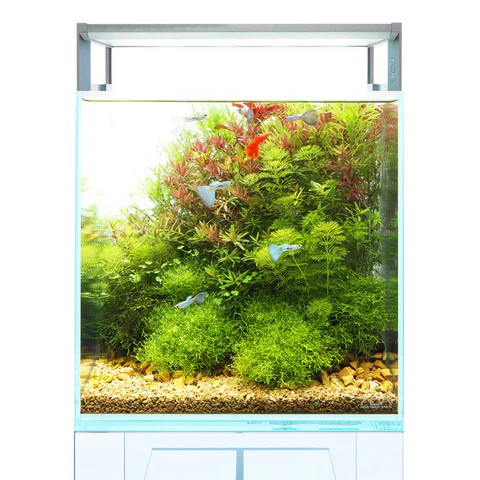 AQUASKY RGB Basic LED Light (300 & 450) – Full-Spectrum Aquarium