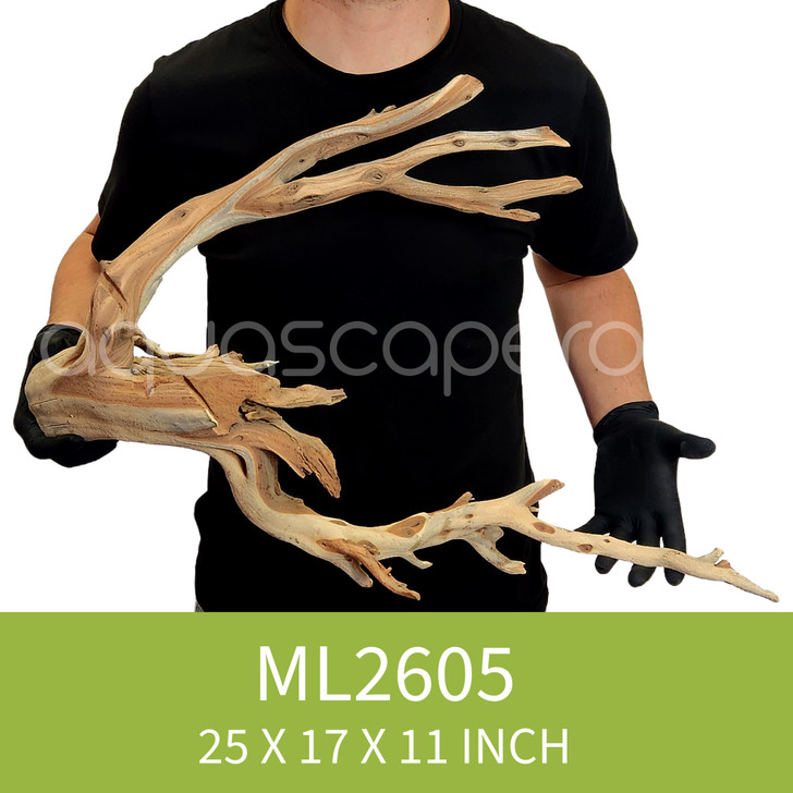 Manzanita Driftwood ML2605