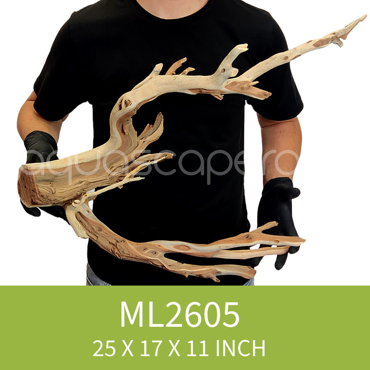 Manzanita Driftwood ML2605
