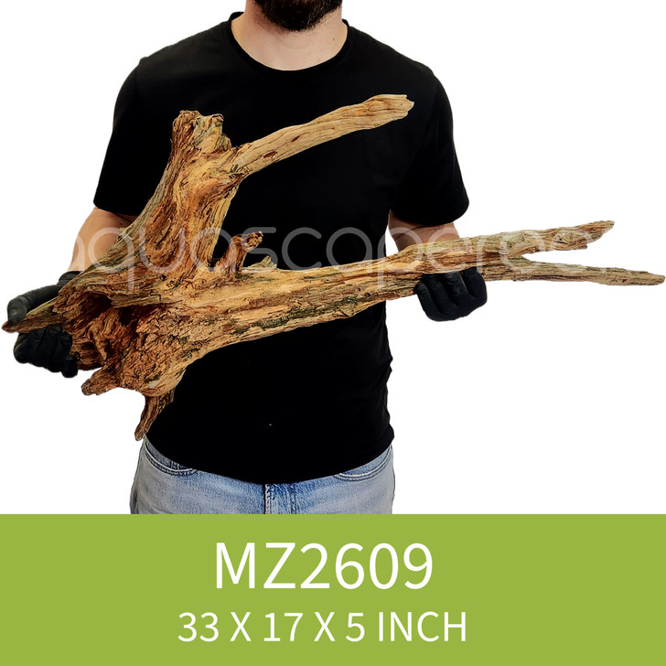 Manzanita Driftwood MZ2609