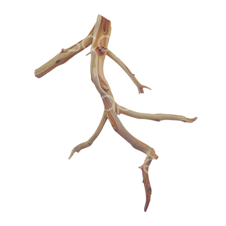 Manzanita Driftwood
